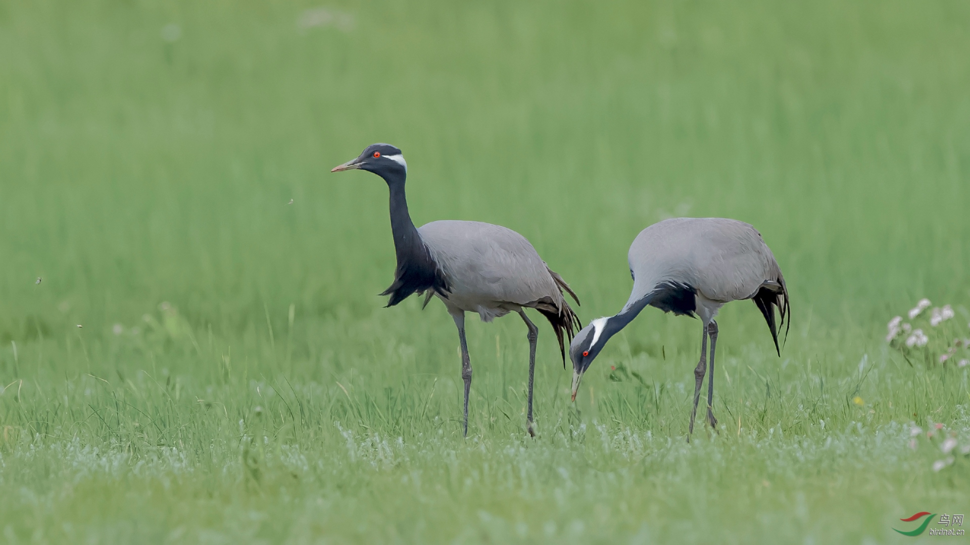 DSC_5608-1.jpg