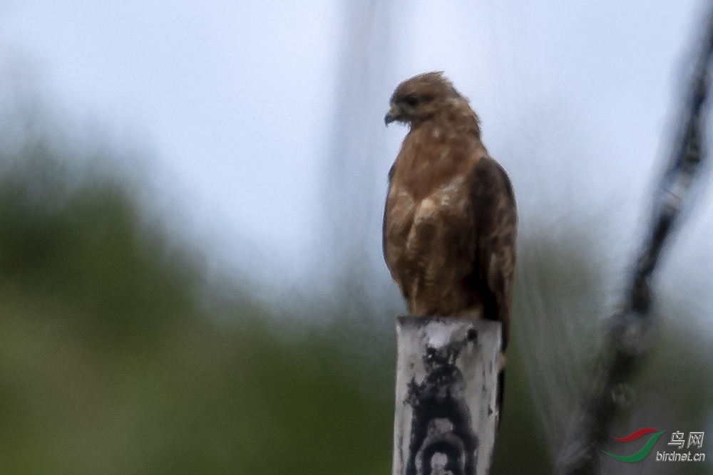 ���������� (1).jpg