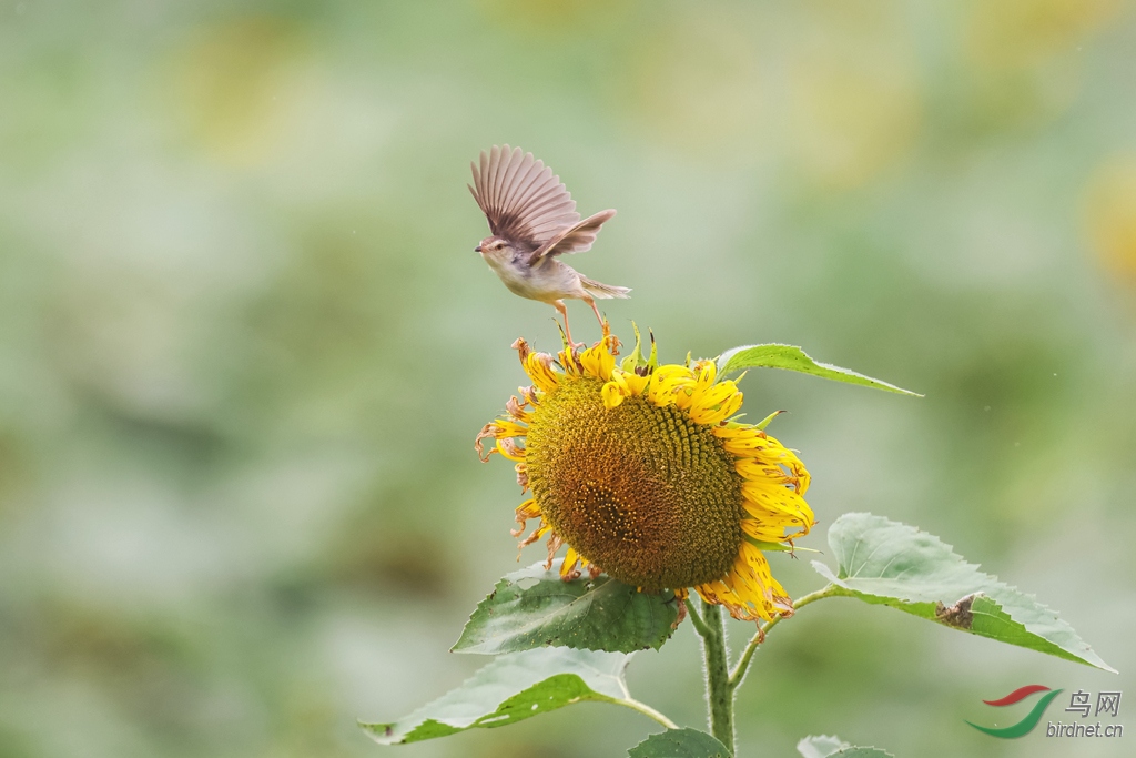 1M6A5470-1.jpg
