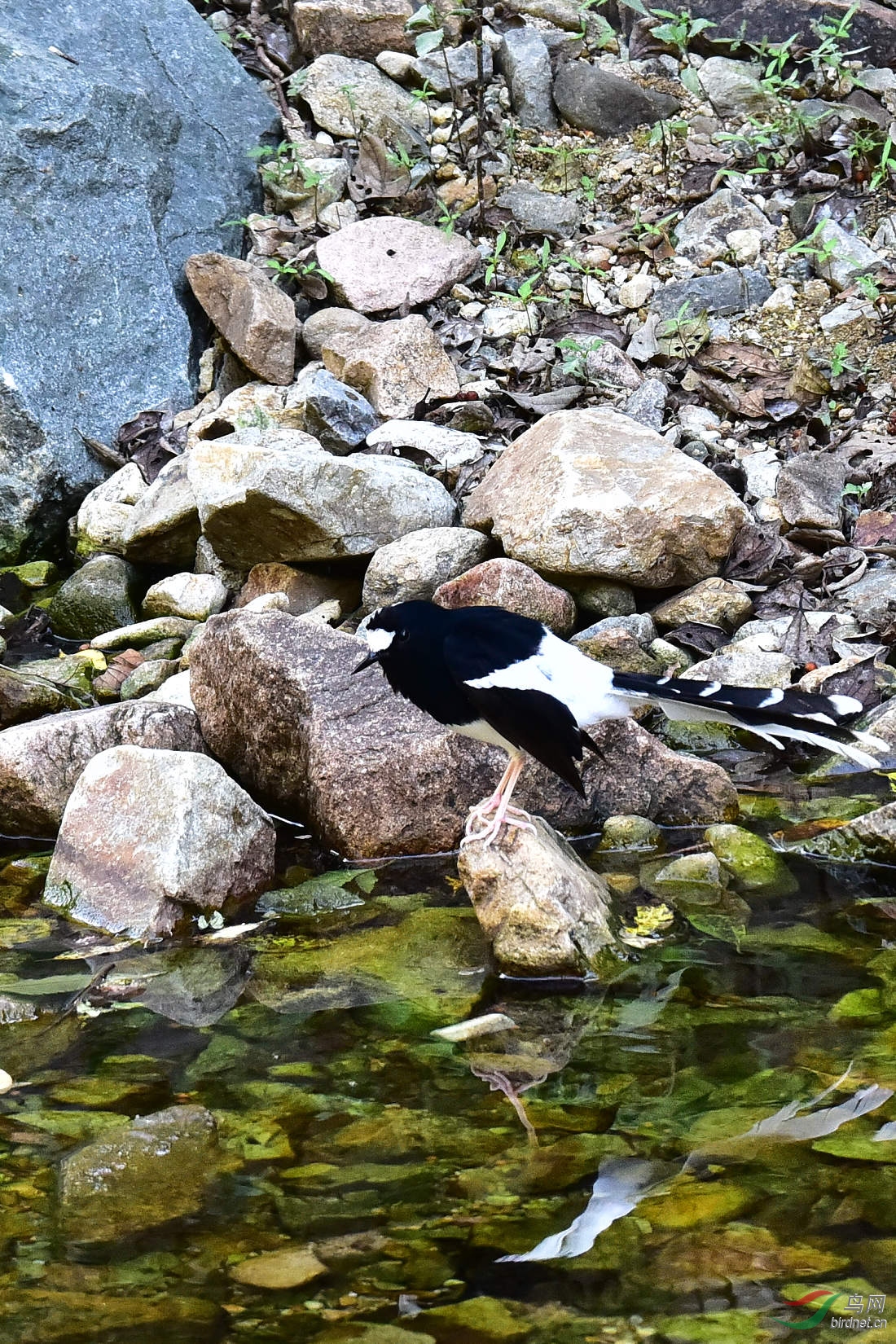 DSC_1244.JPG