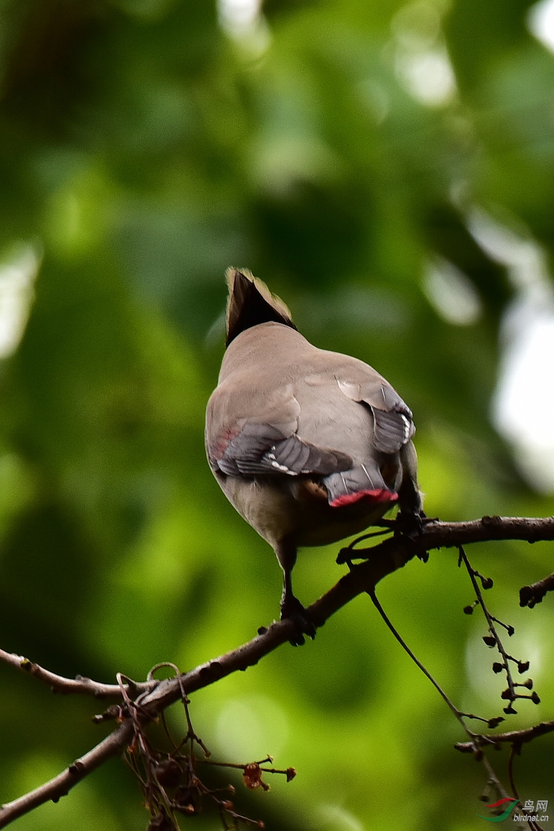 DSC_0114.JPG