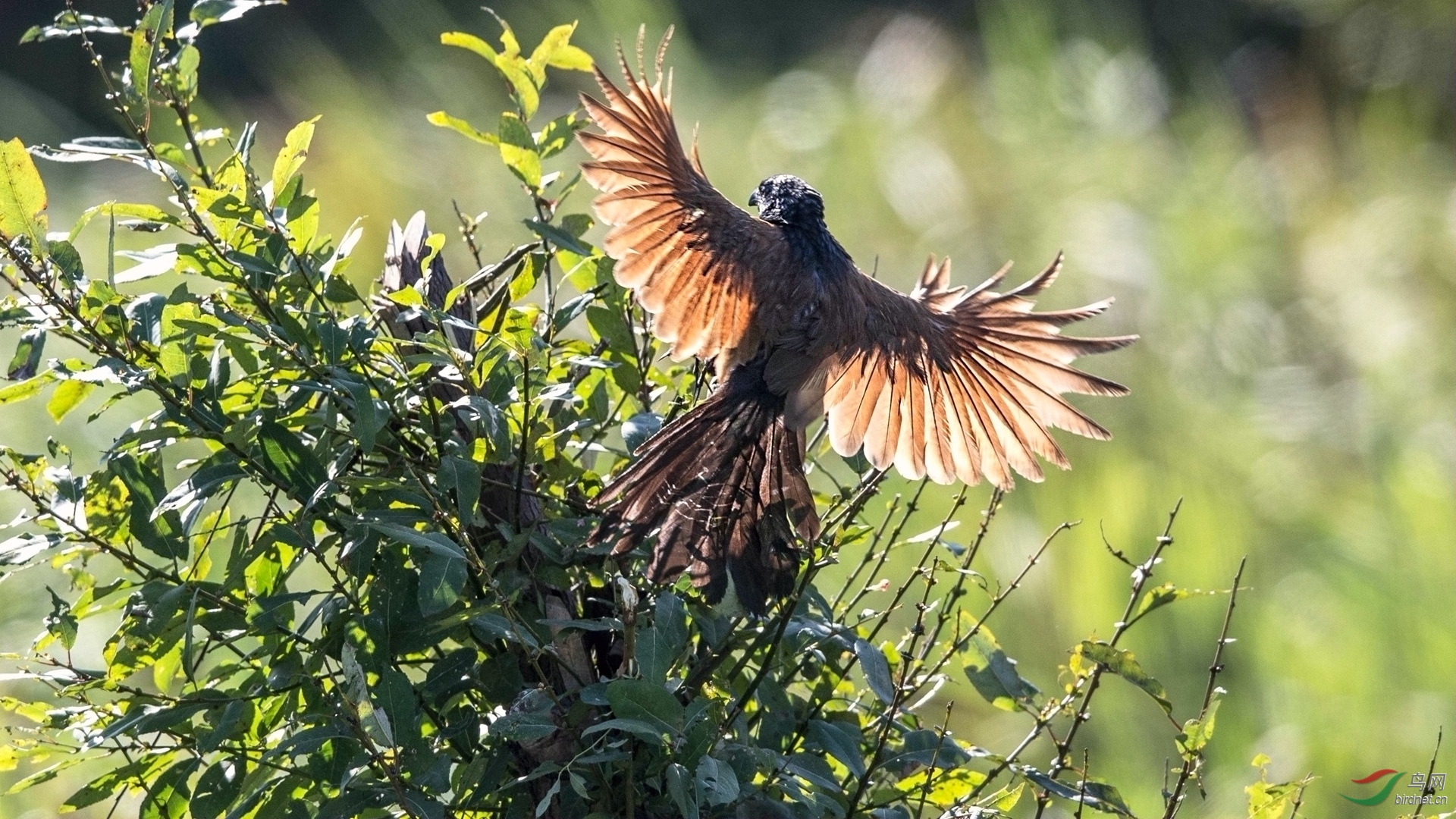 BW4Q5911副本 - 副本 (2) - 副本 - 副本.jpg