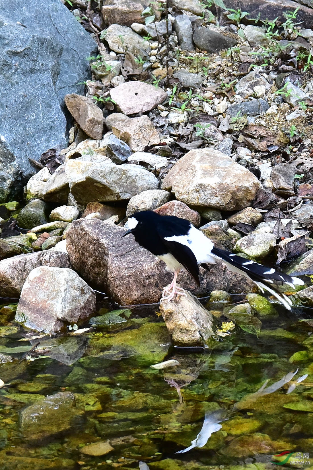 DSC_1245.JPG