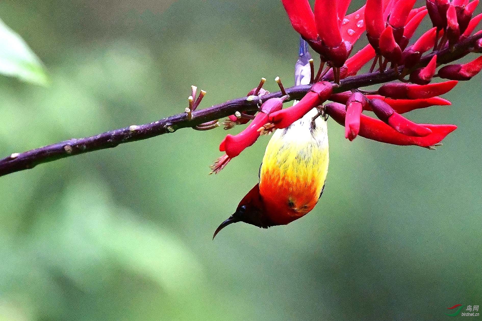 DSC_3055_����.jpg