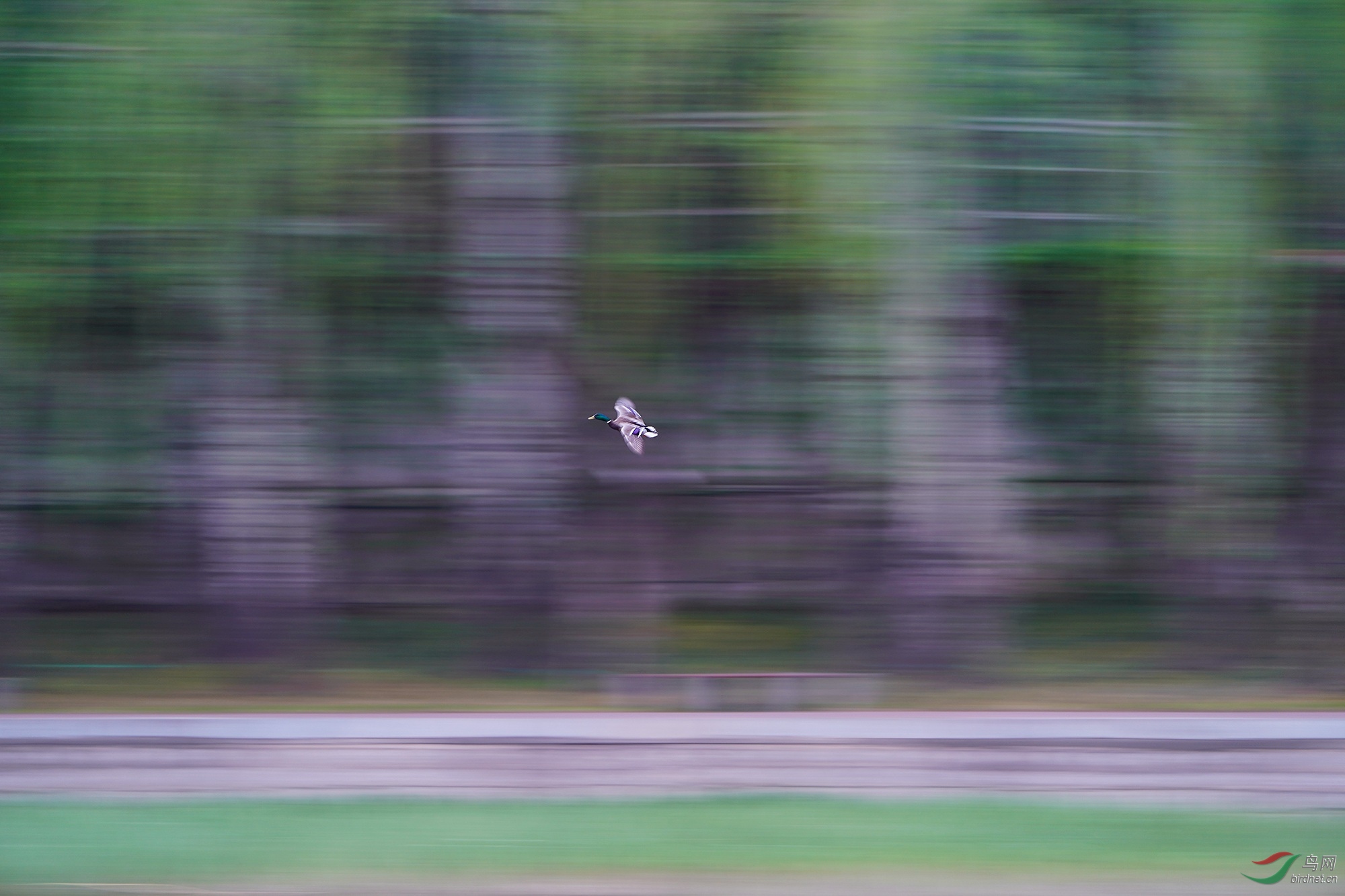 DSC08175B-1_����.jpg