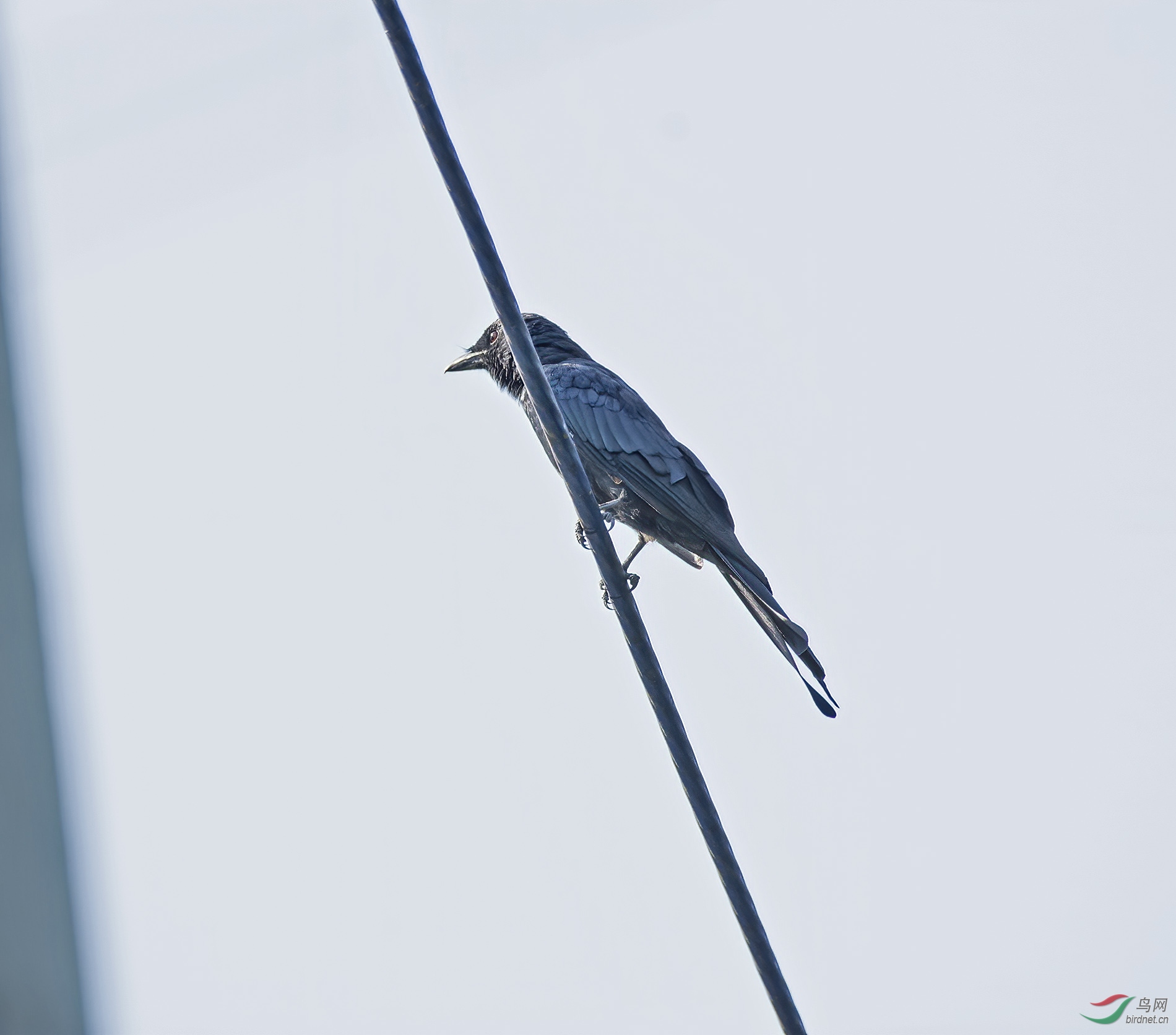 DSC_4847.jpg