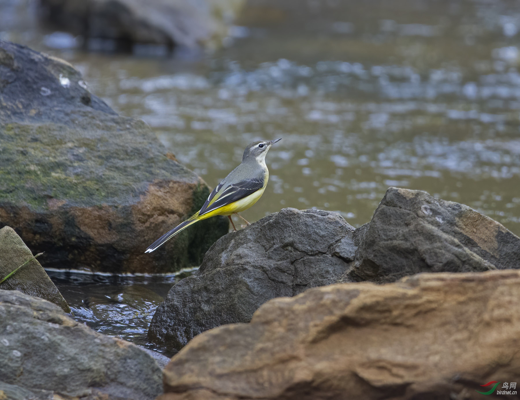 DSC_4825.jpg