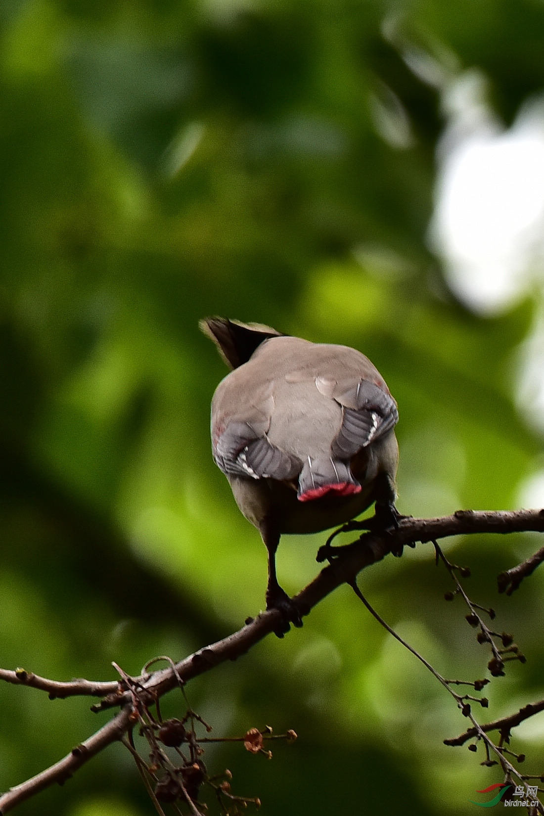 DSC_0117.JPG