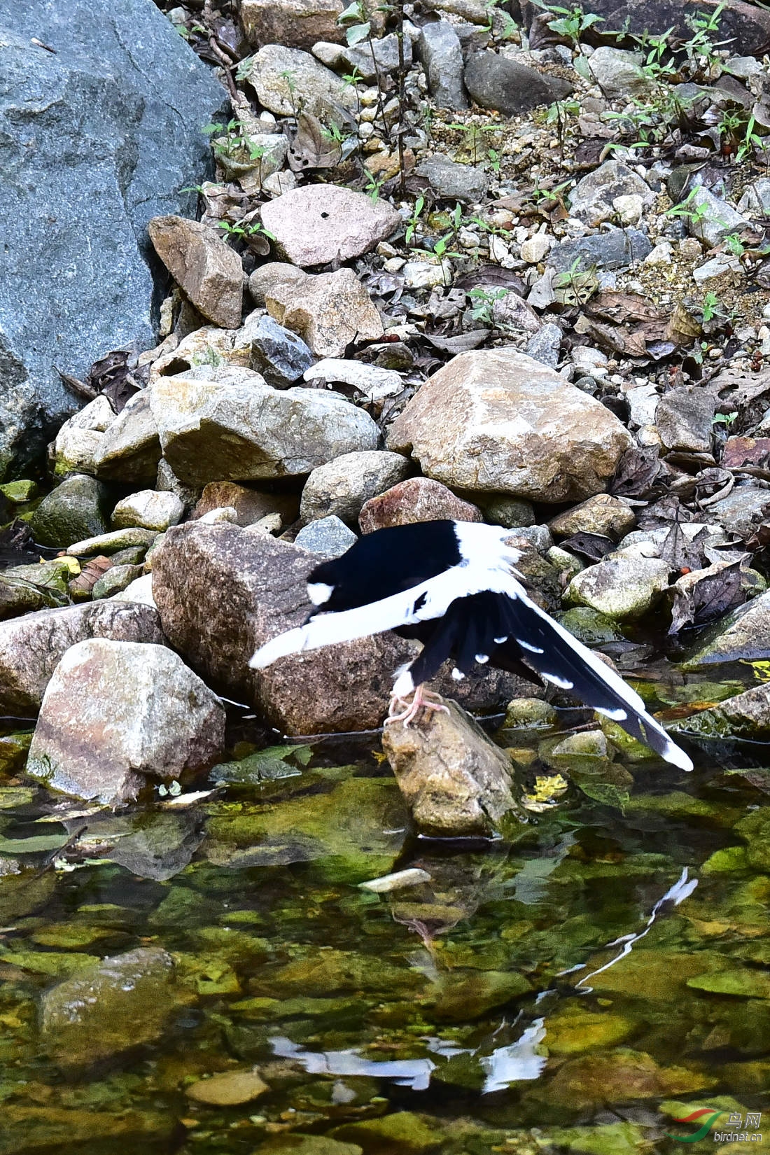 DSC_1247.JPG