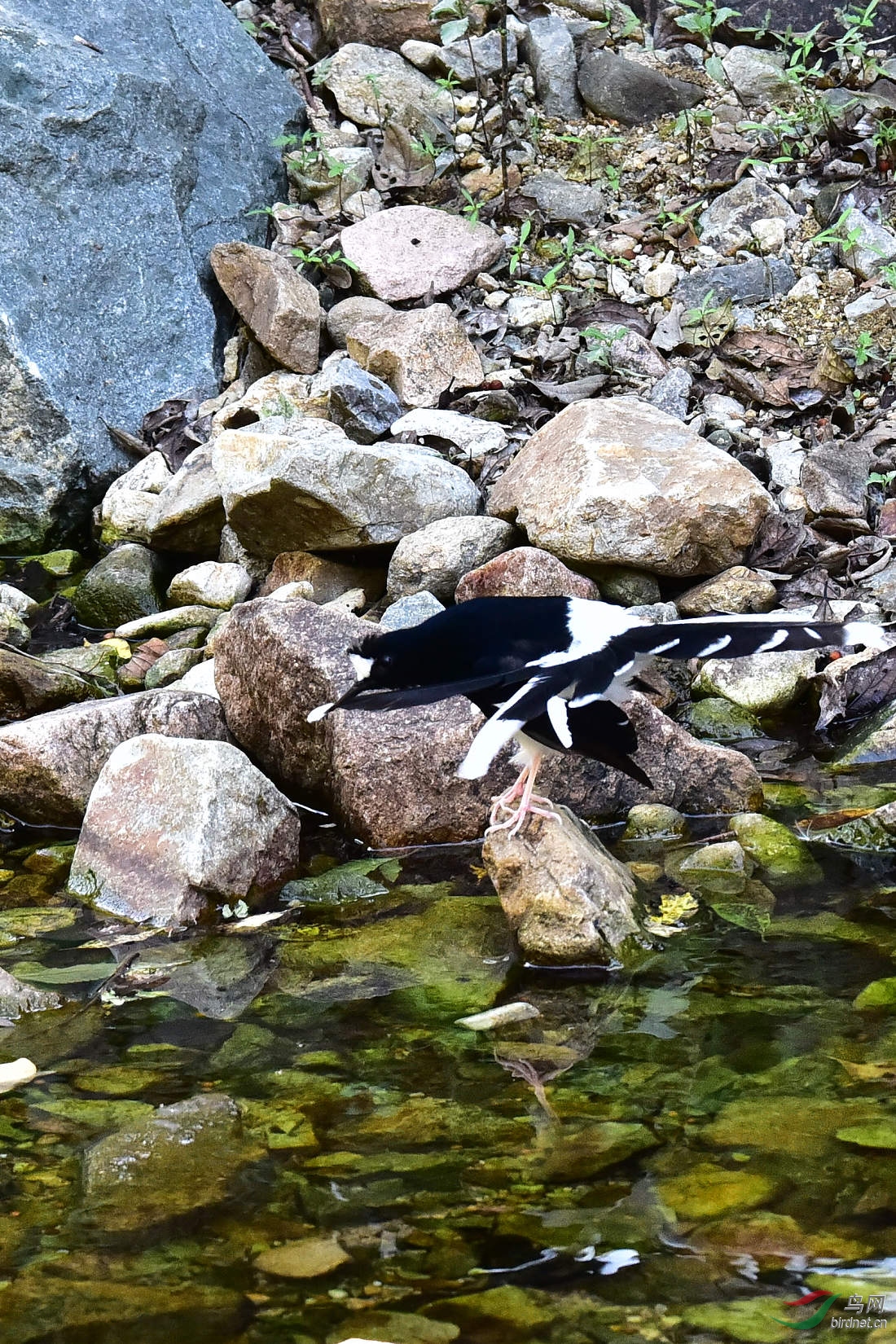 DSC_1248.JPG