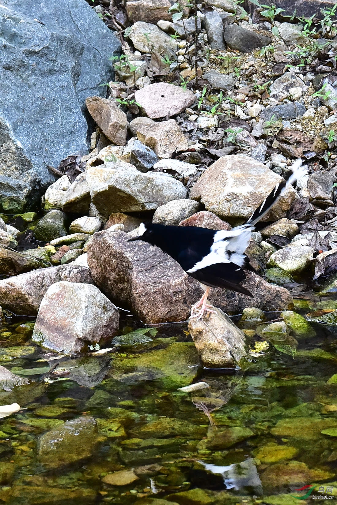 DSC_1249.JPG