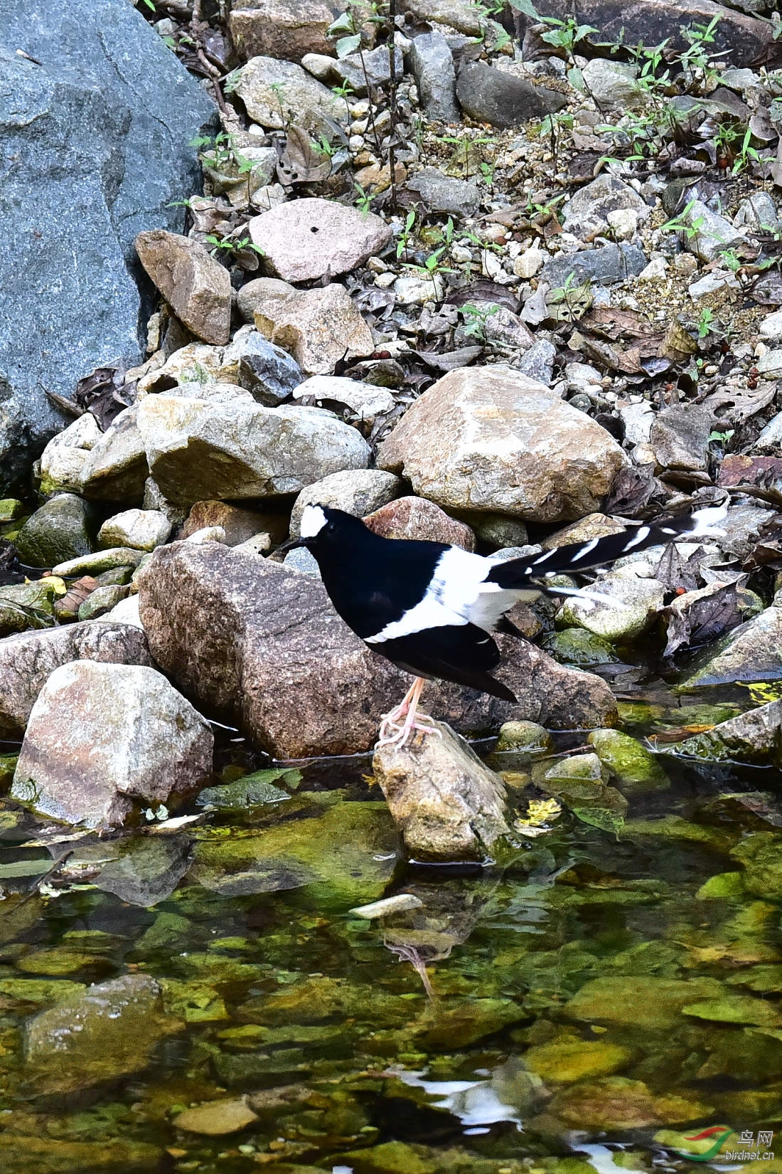DSC_1250.JPG