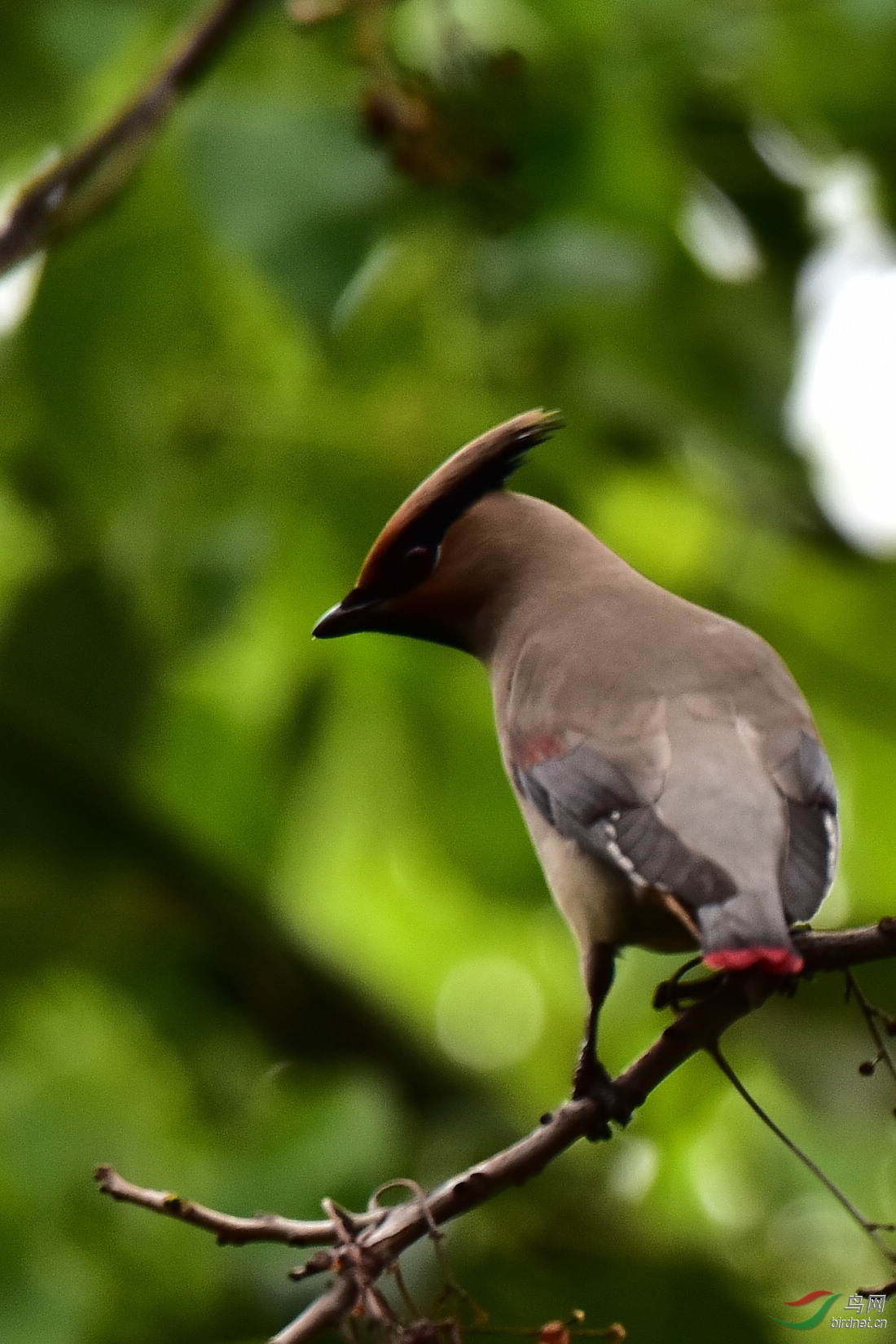DSC_0121.JPG