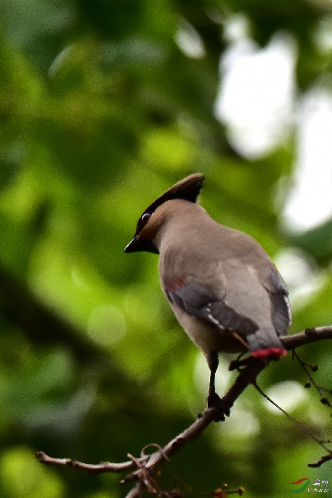 DSC_0122.JPG