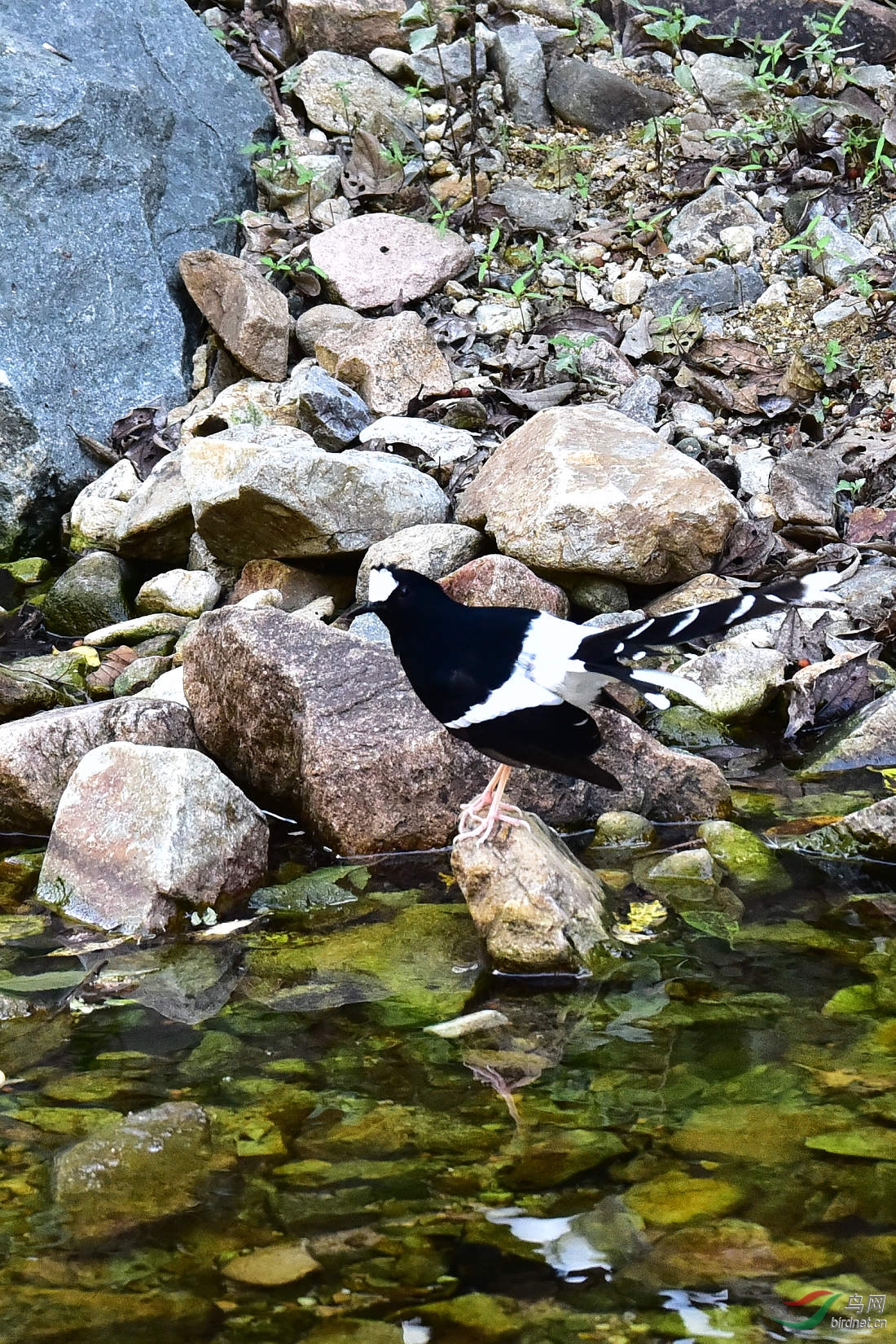 DSC_1251.JPG