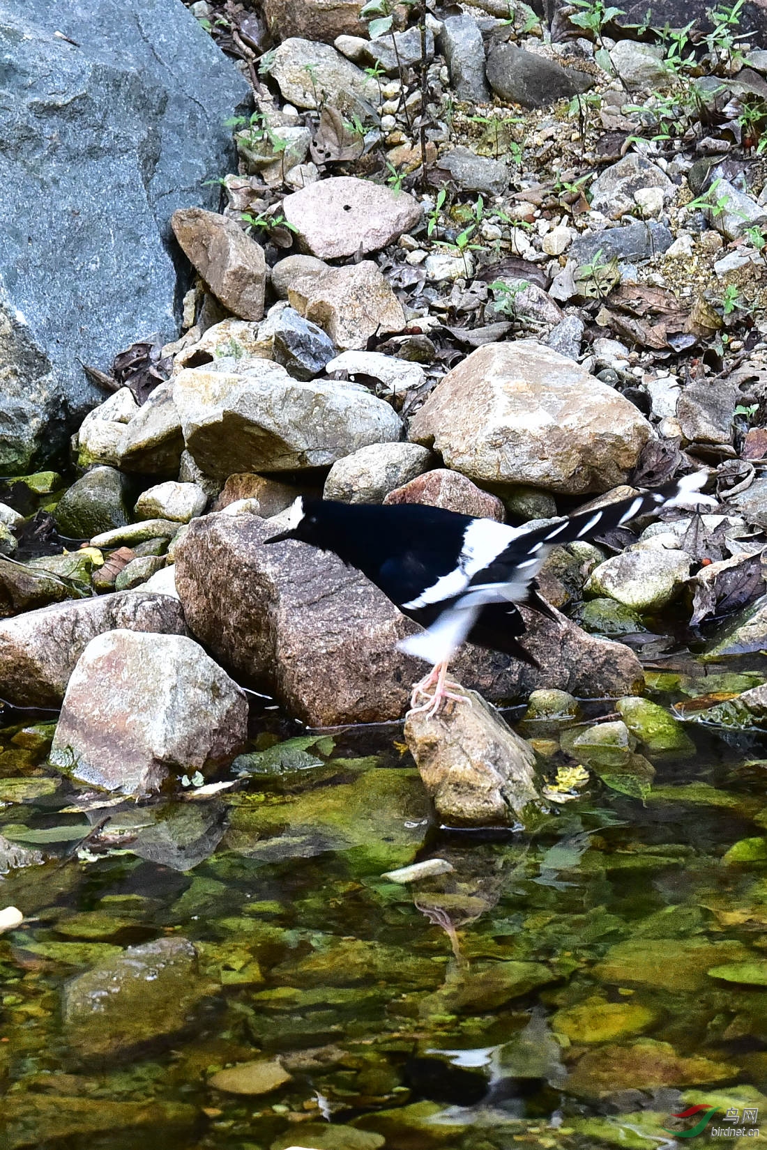 DSC_1252.JPG