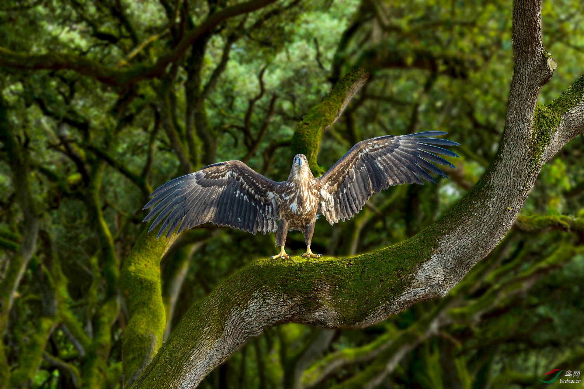 �������� 1920x500k.jpg