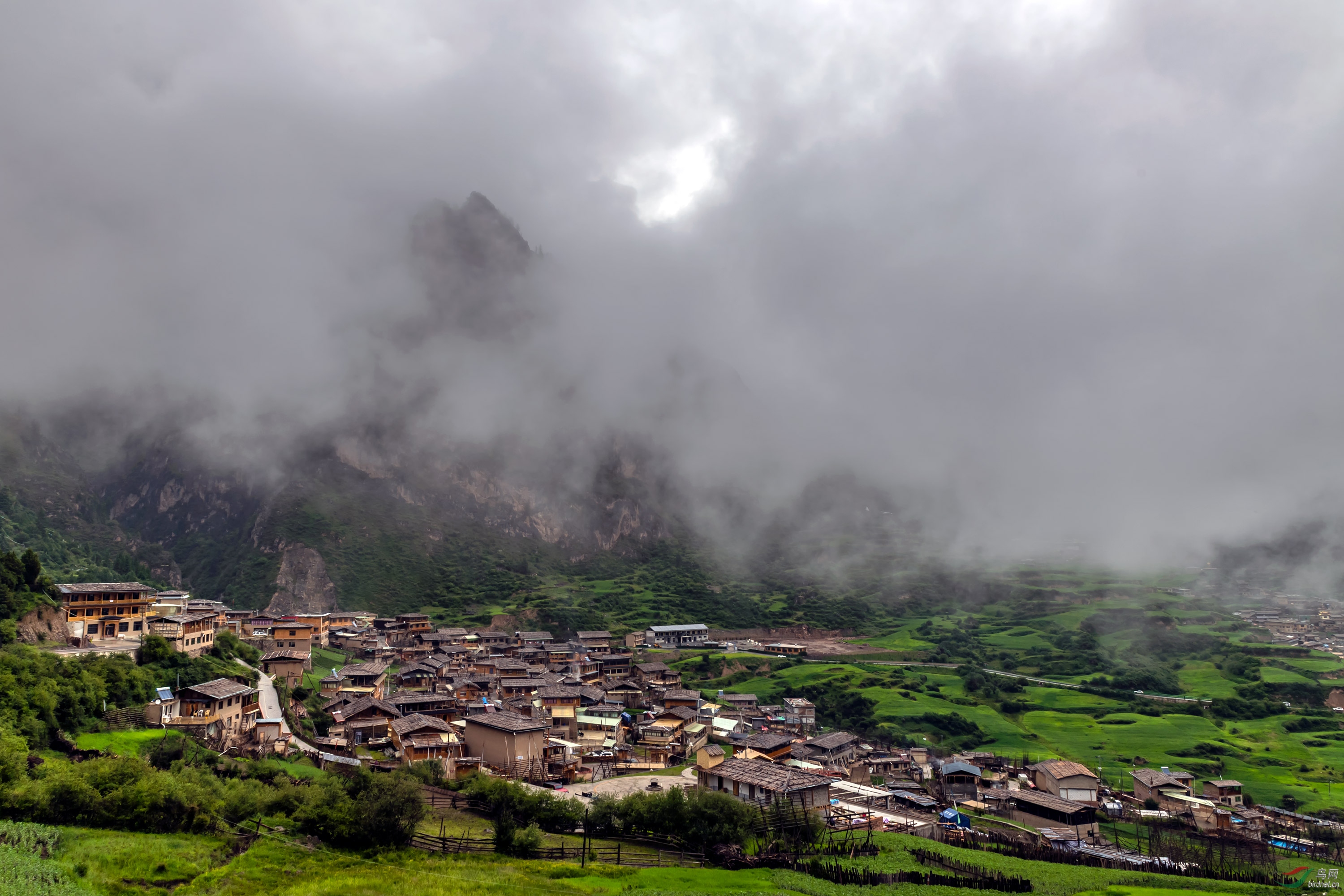 DSC_3589_��ͼ��.jpg