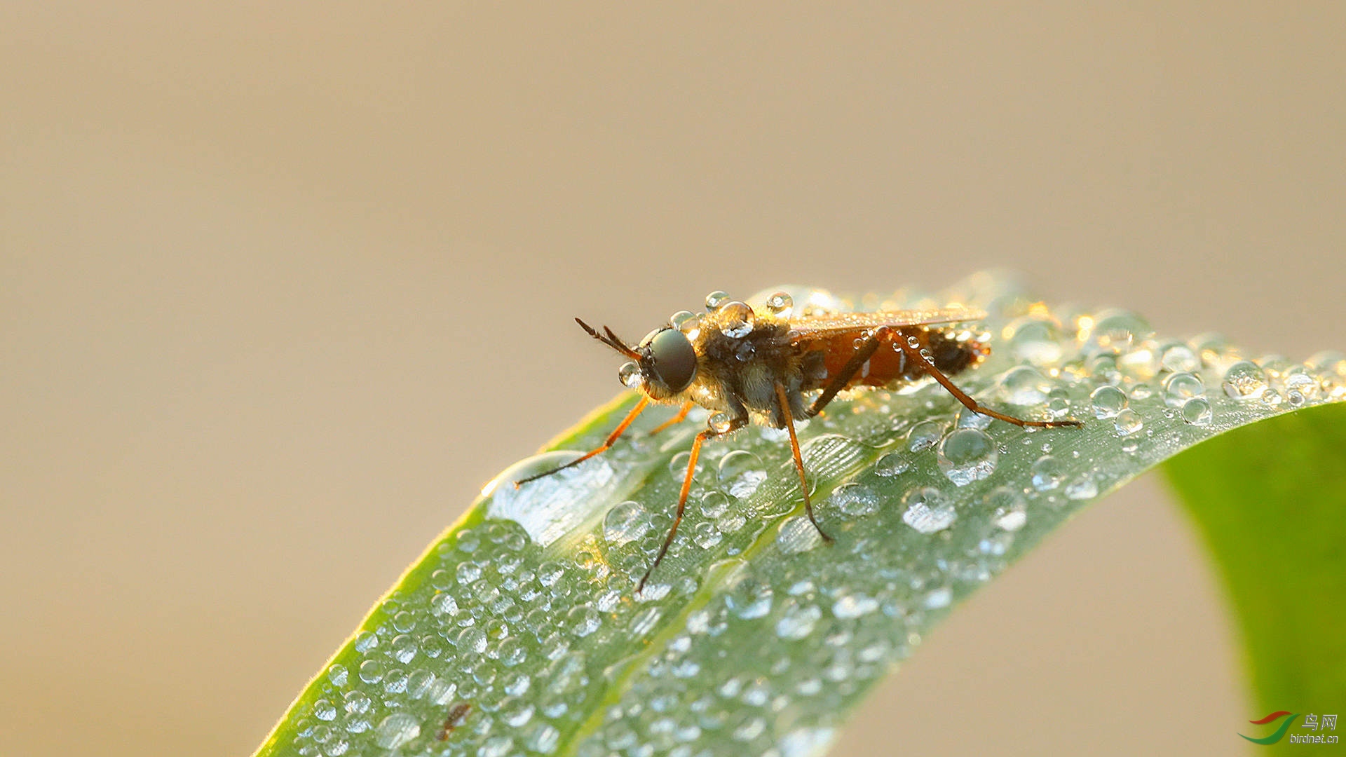 EC6A1447_����.jpg