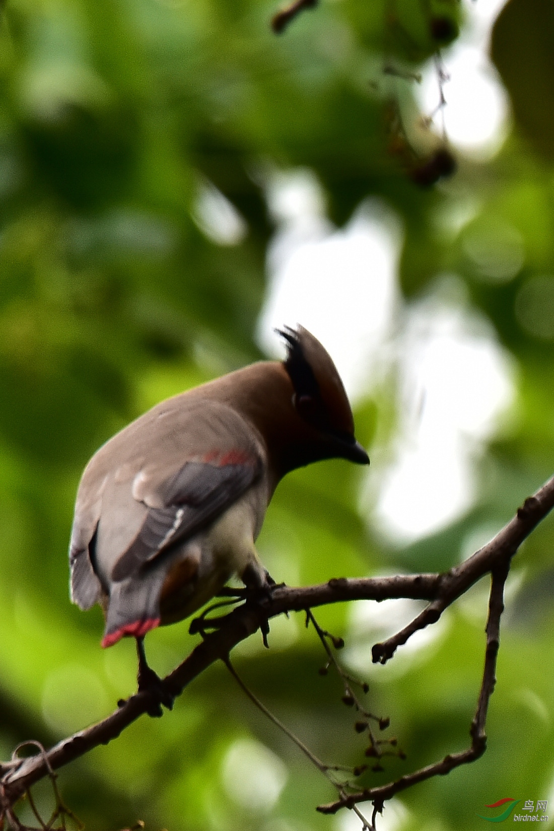 DSC_0124.JPG