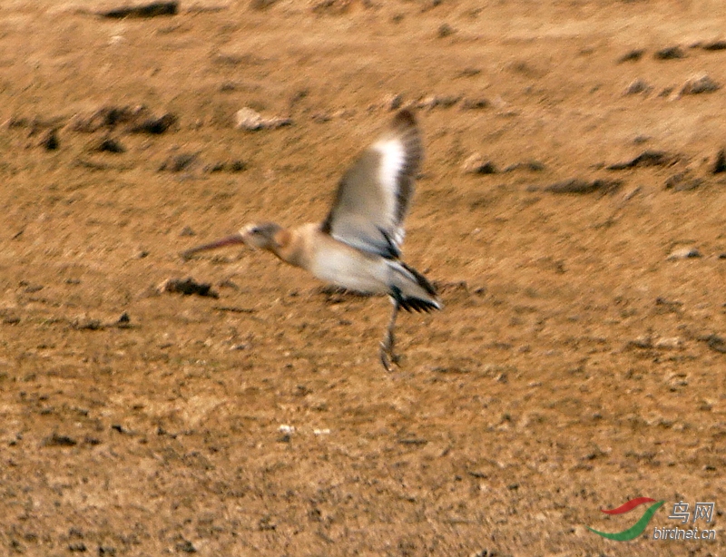 P5400837 - ����.JPG