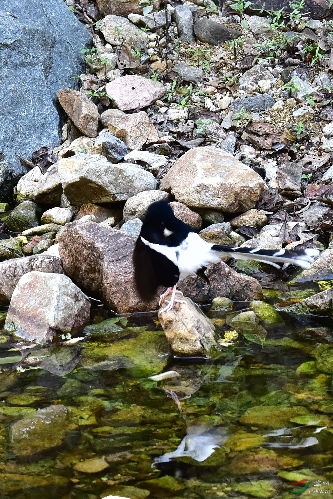 DSC_1256.JPG