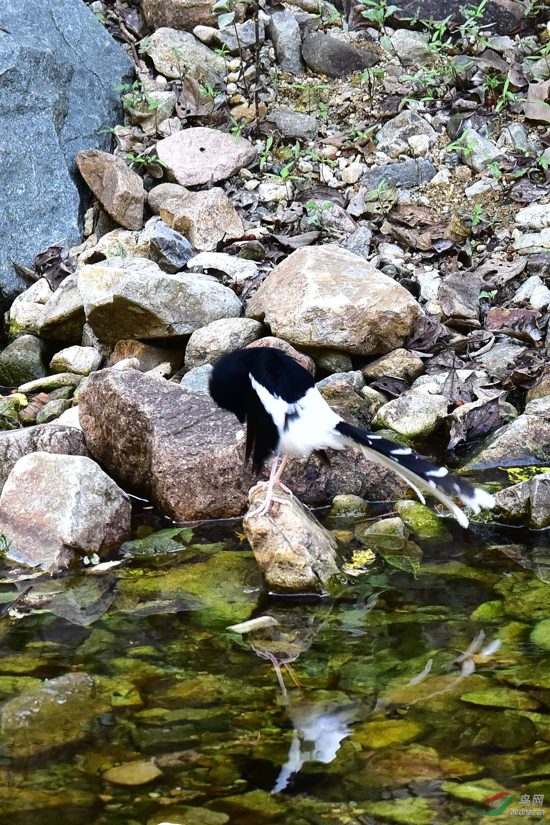 DSC_1257.JPG