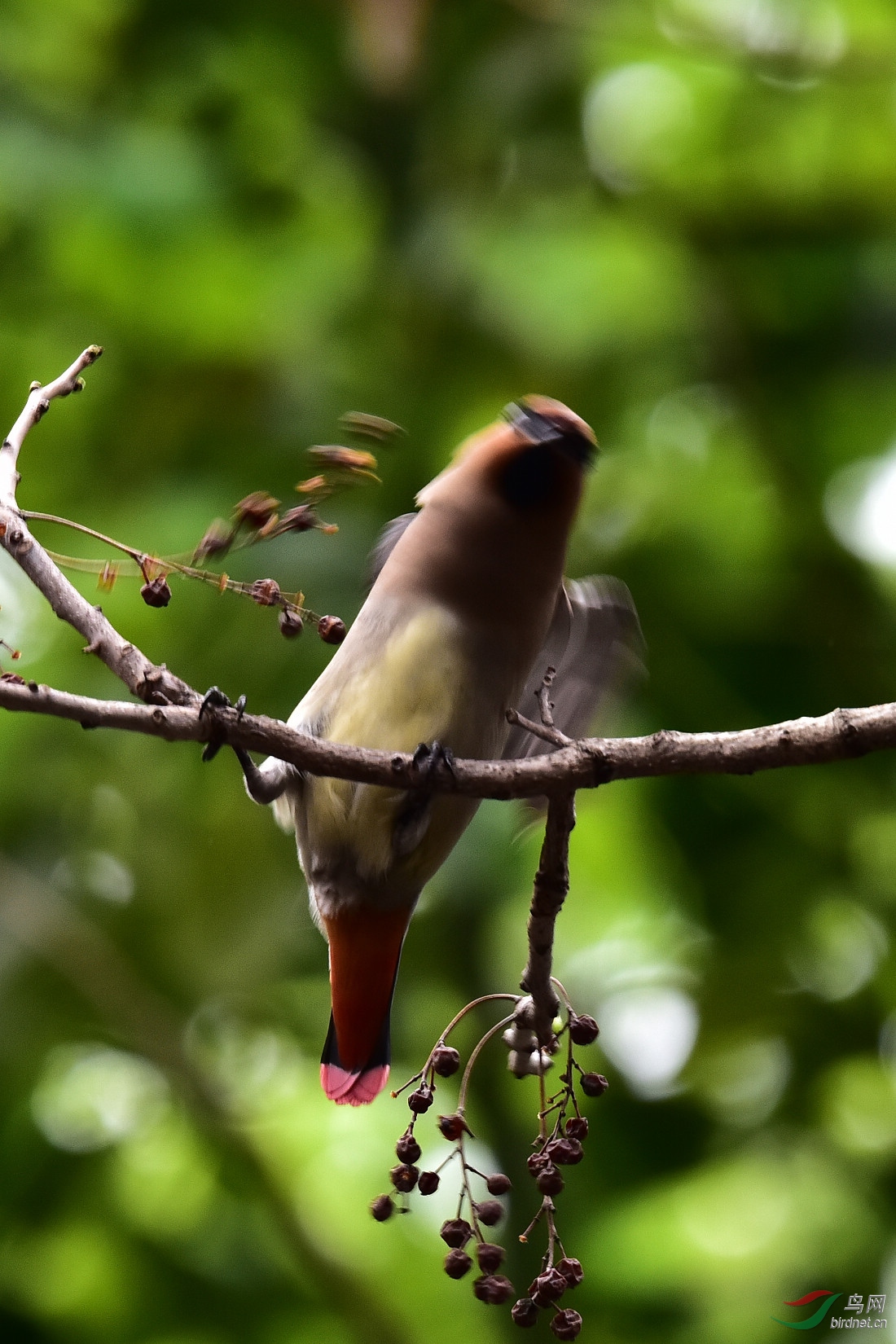 DSC_0129.JPG