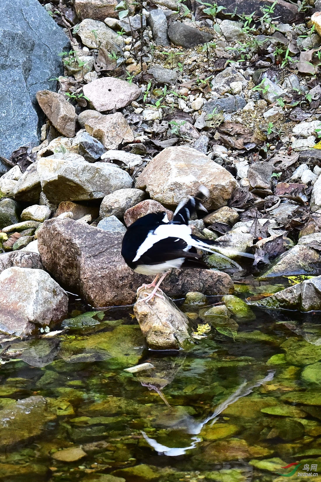 DSC_1260.JPG
