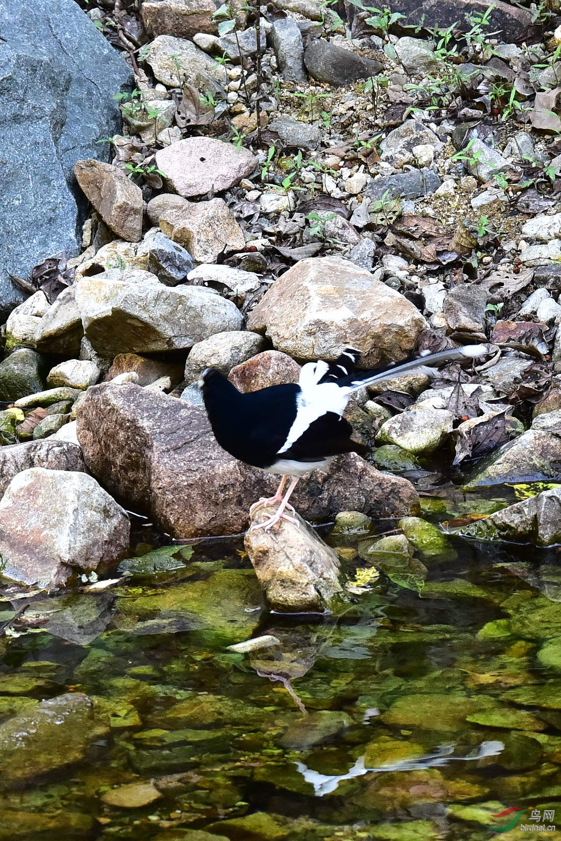 DSC_1262.JPG