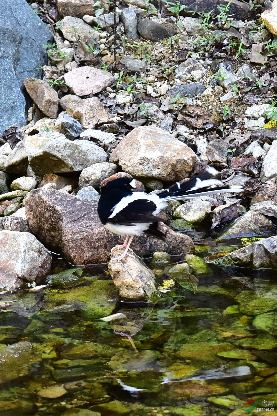 DSC_1263.JPG