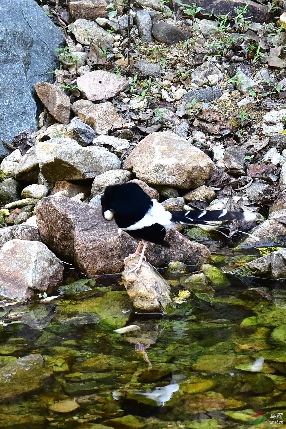 DSC_1266.JPG