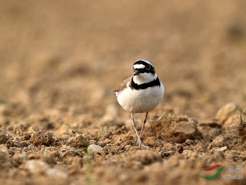 DJ4W7916_��04����a.jpg