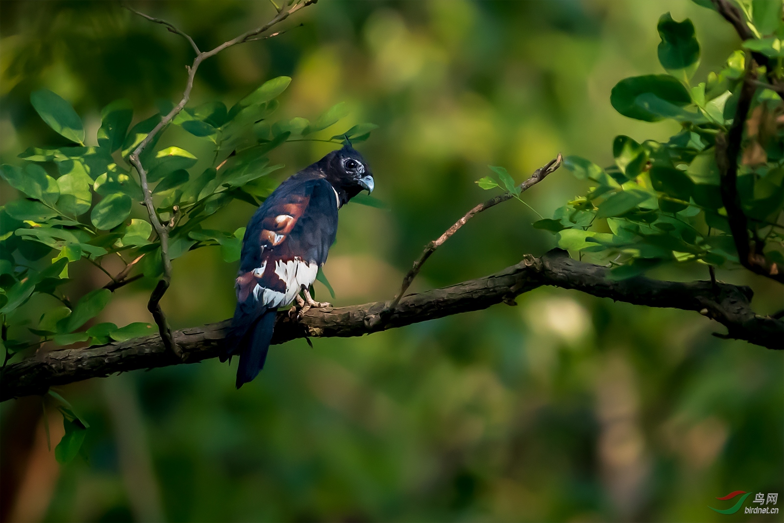 1DX_4065-3.jpg