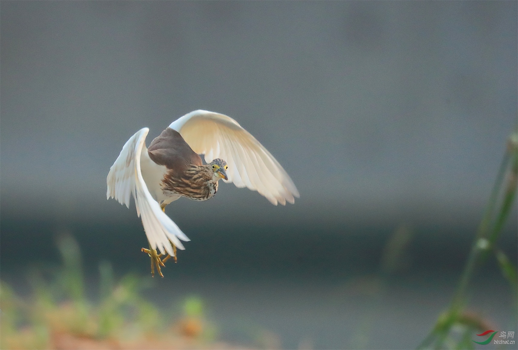 9 - ����.JPG