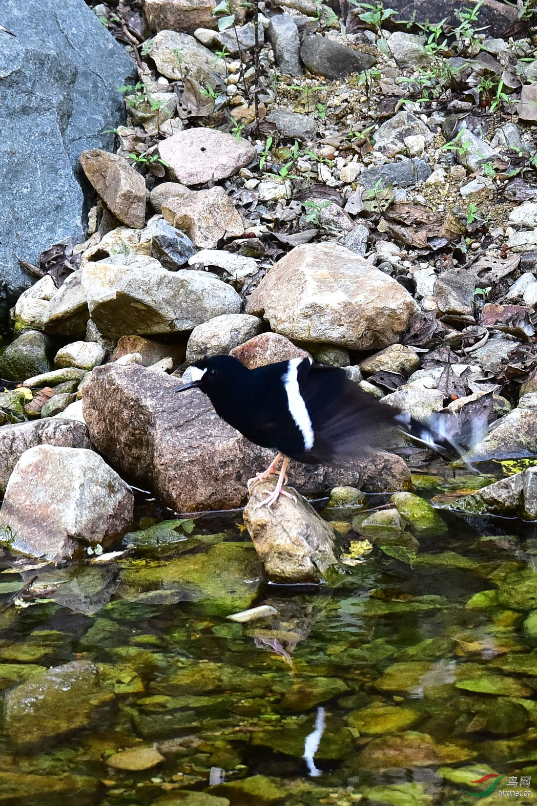 DSC_1267.JPG