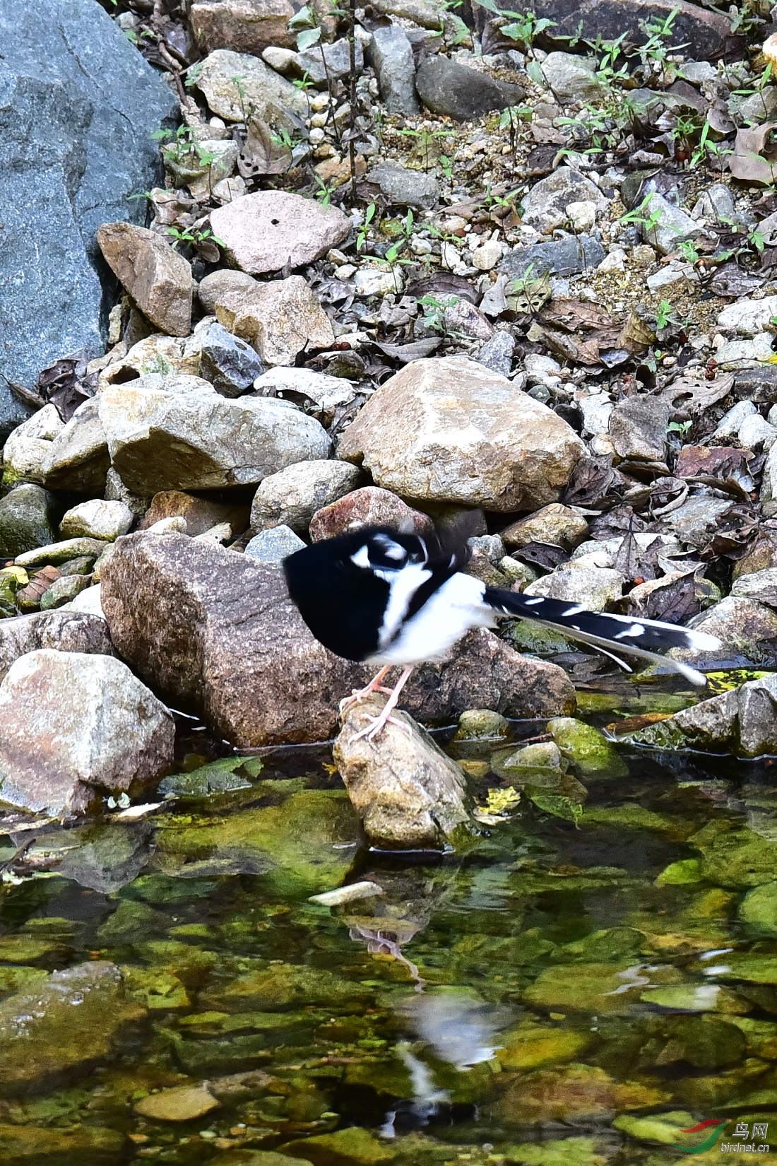 DSC_1268.JPG