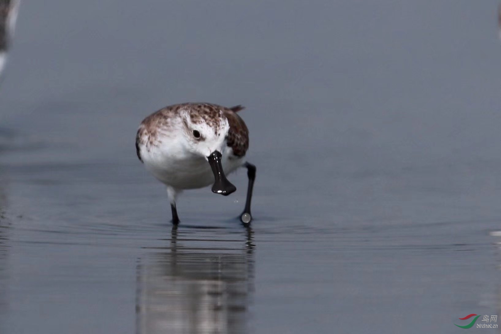 ������ (2).jpg