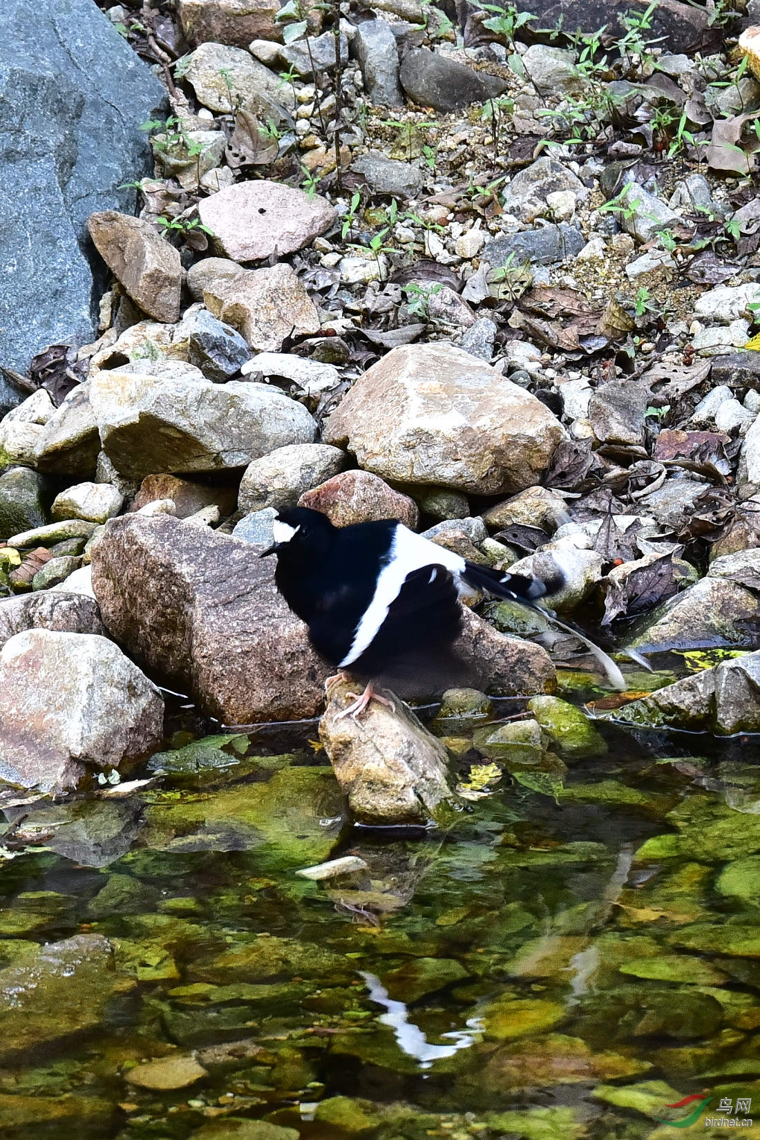 DSC_1270.JPG