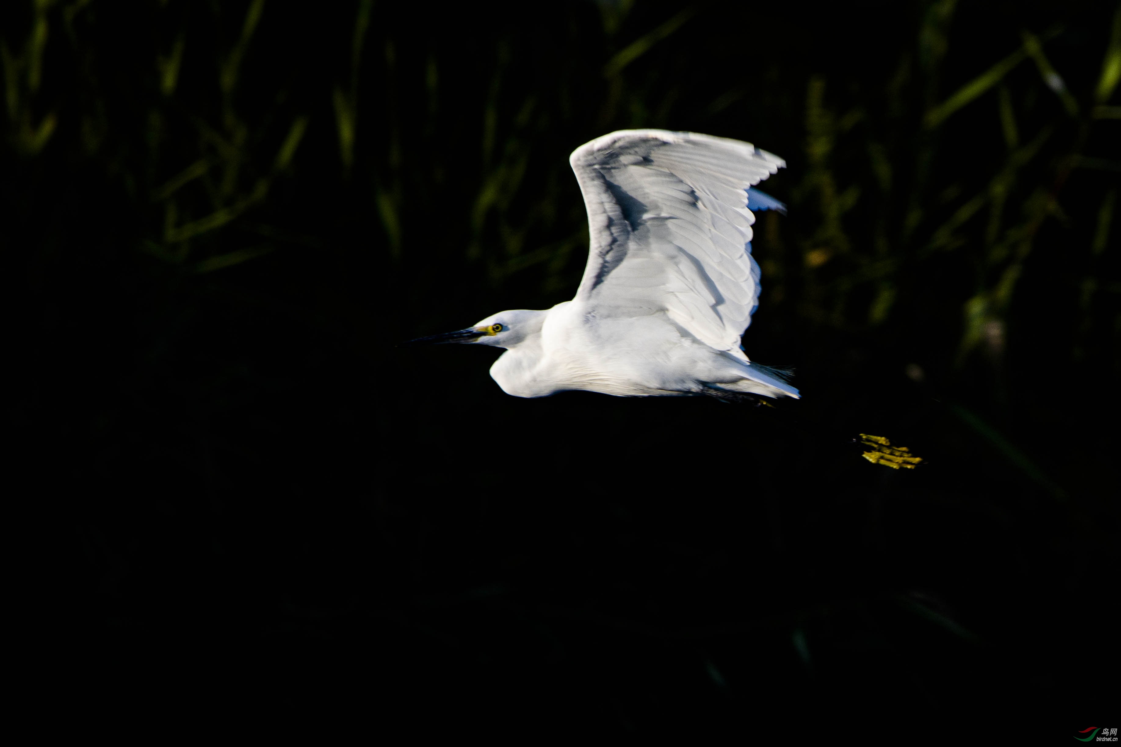 ���ɷ���1