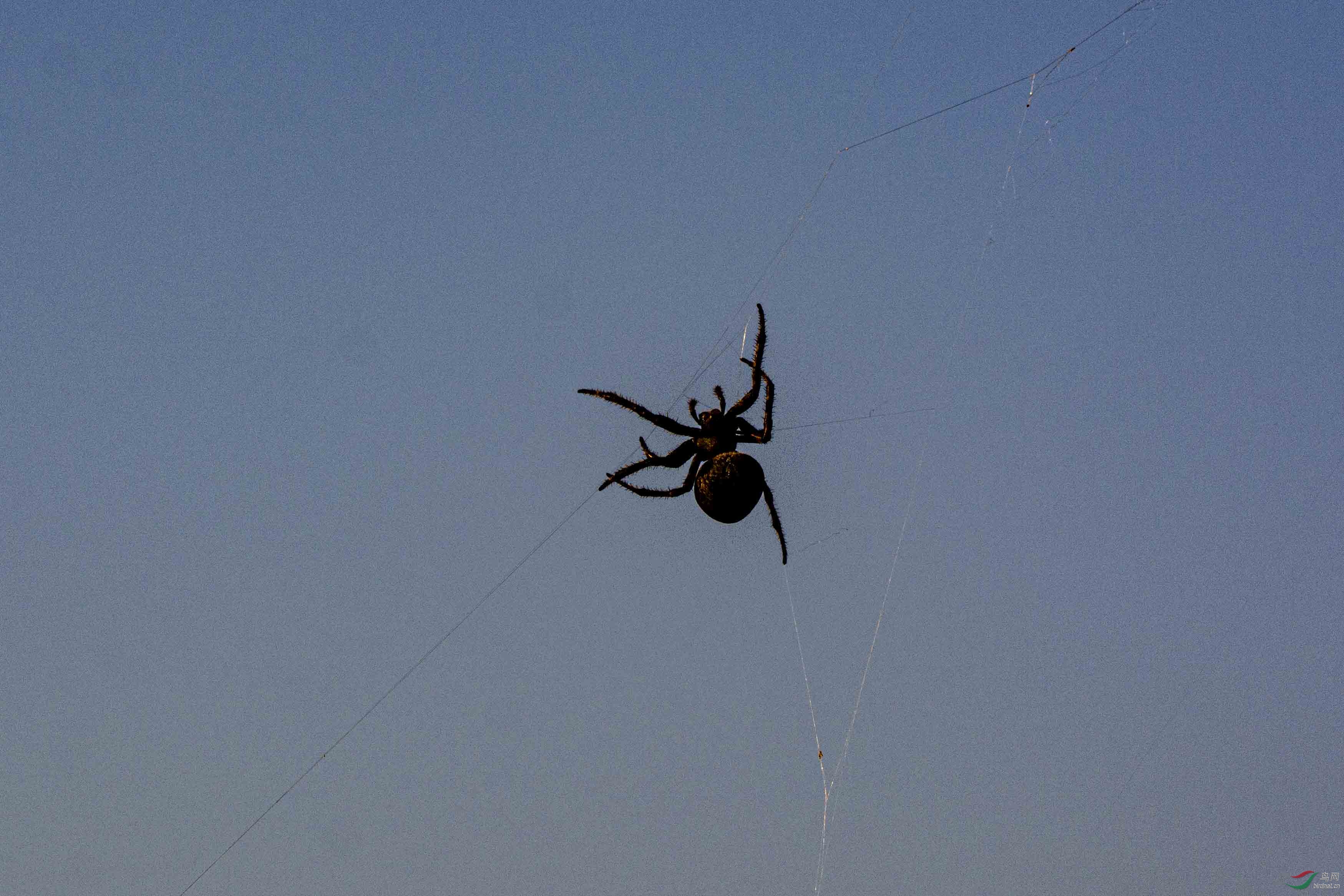 ֩������1