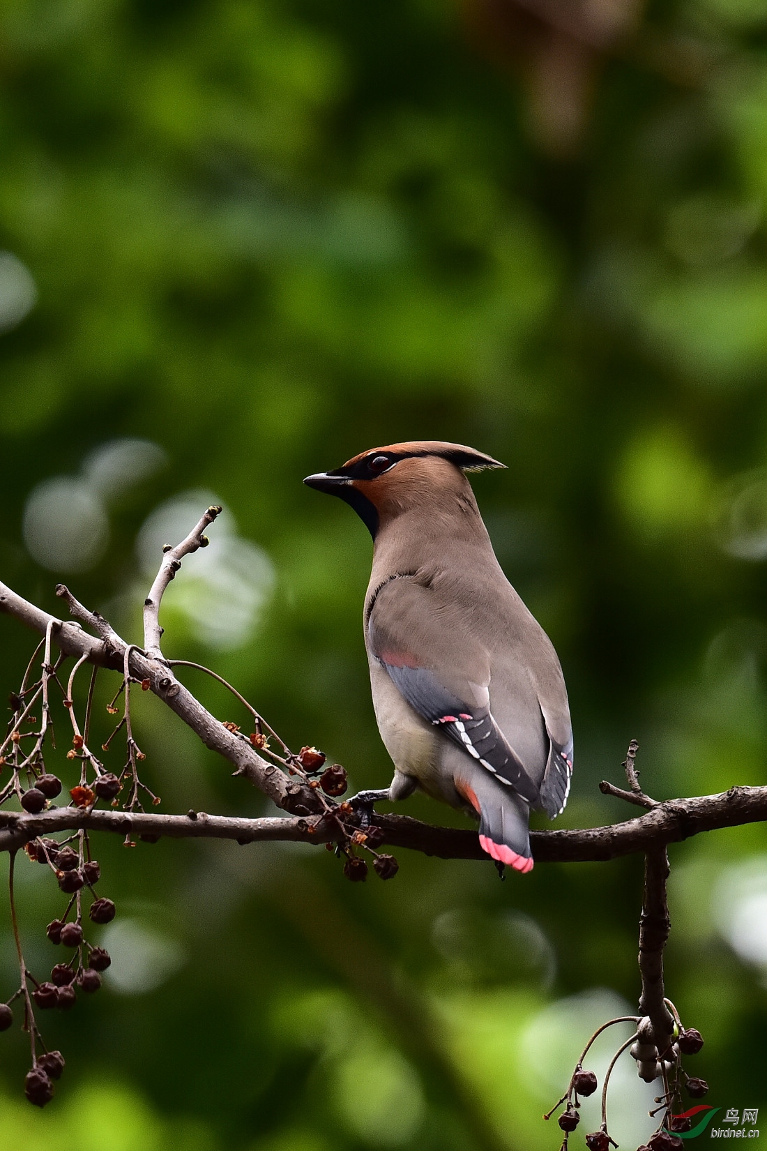 DSC_0141.JPG
