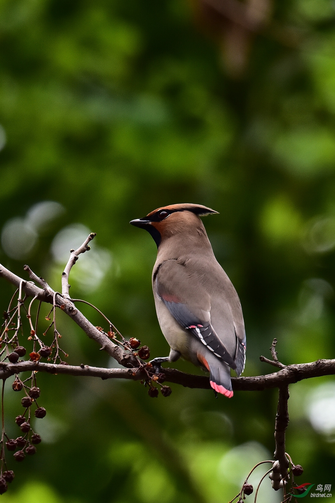 DSC_0142.JPG