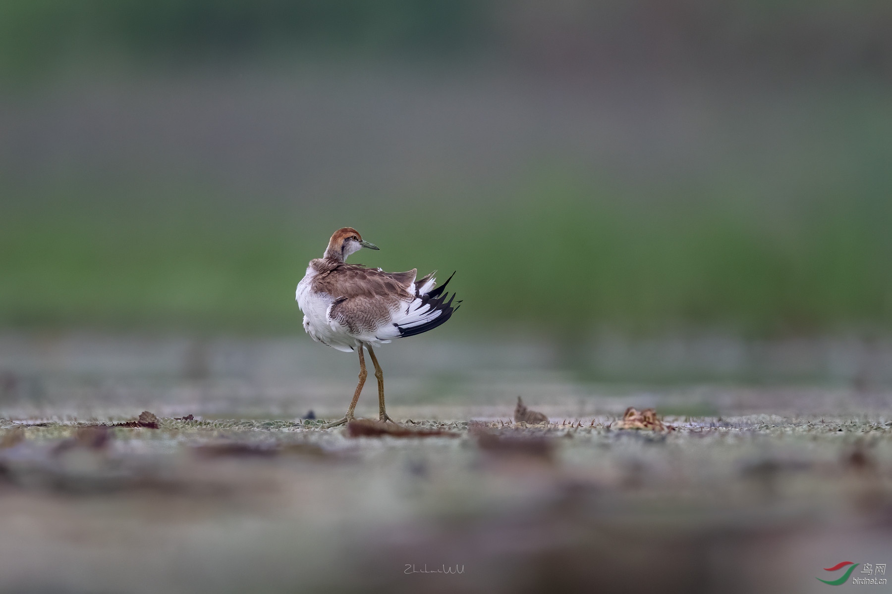 2020-08-31 2382  ����_����.jpg