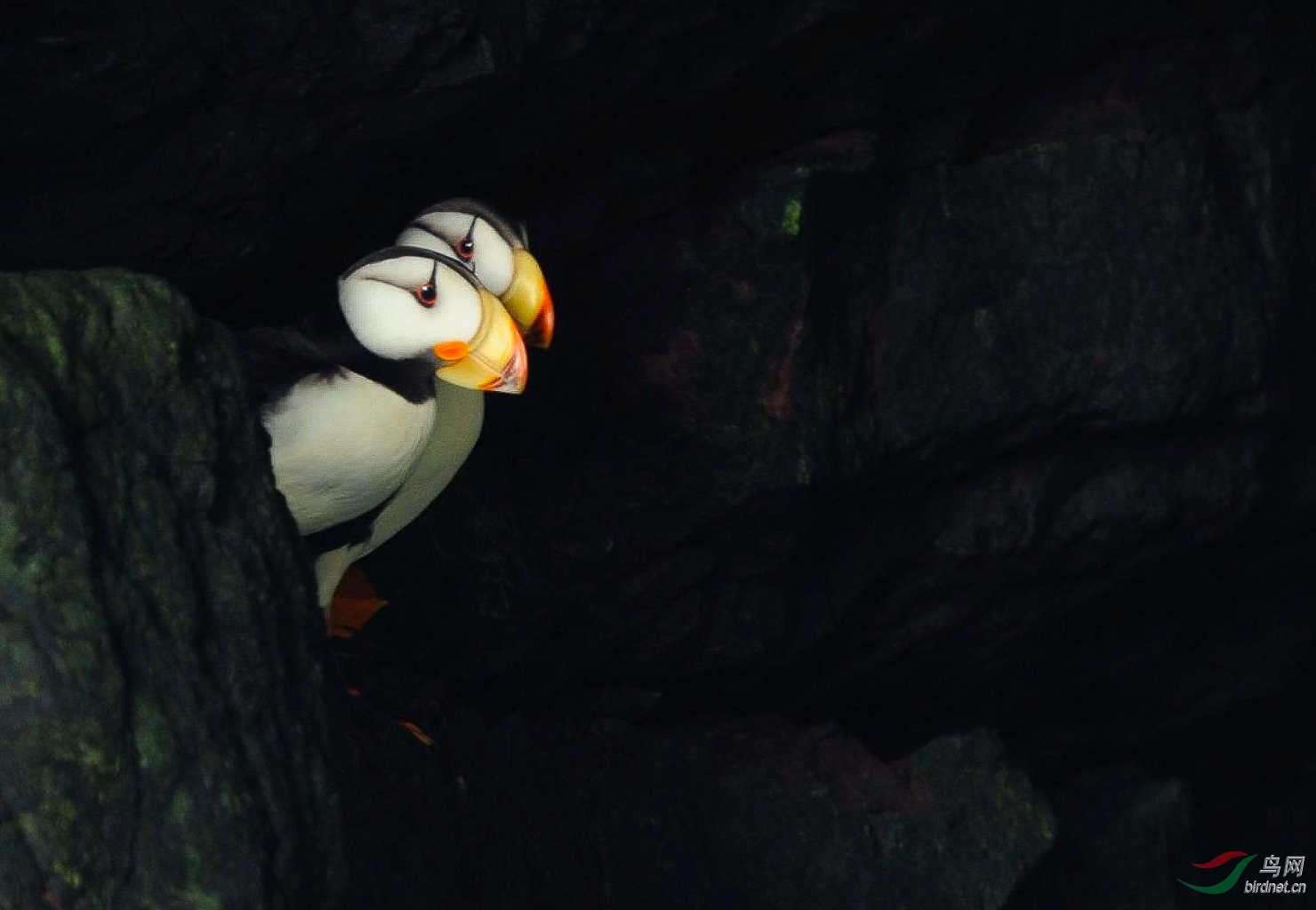 a - ����.jpg