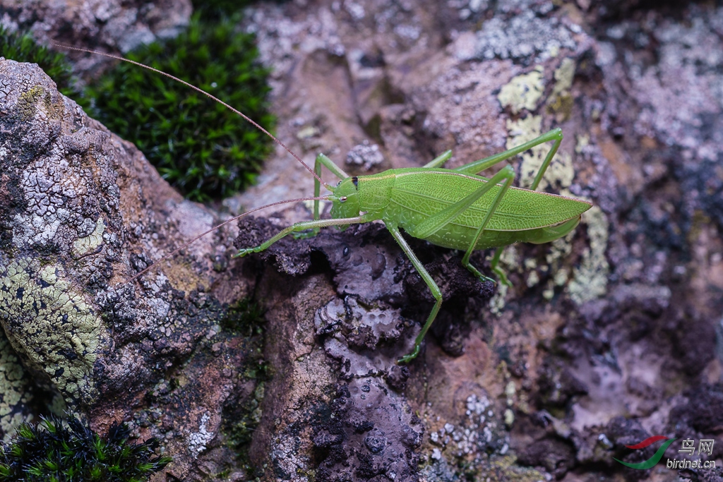δ����-03595.jpg