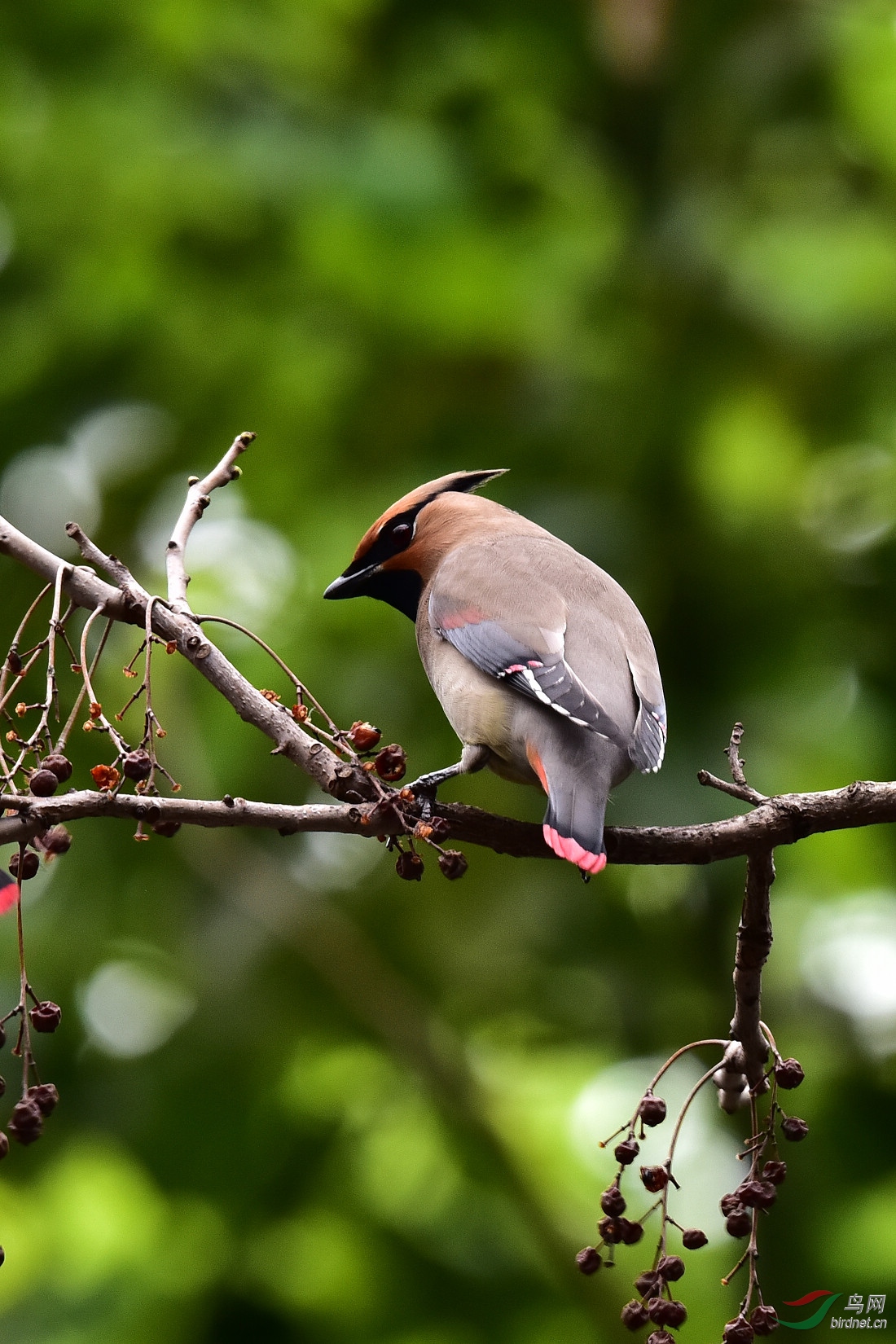 DSC_0143.JPG