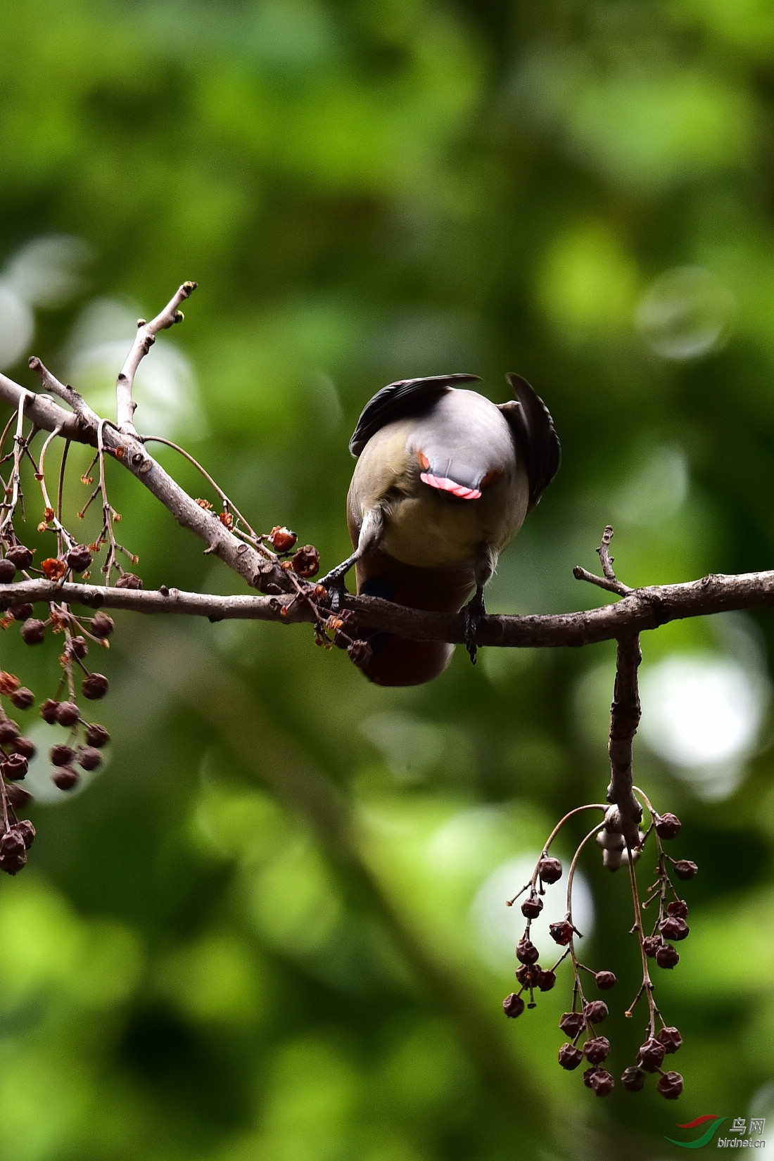 DSC_0144.JPG