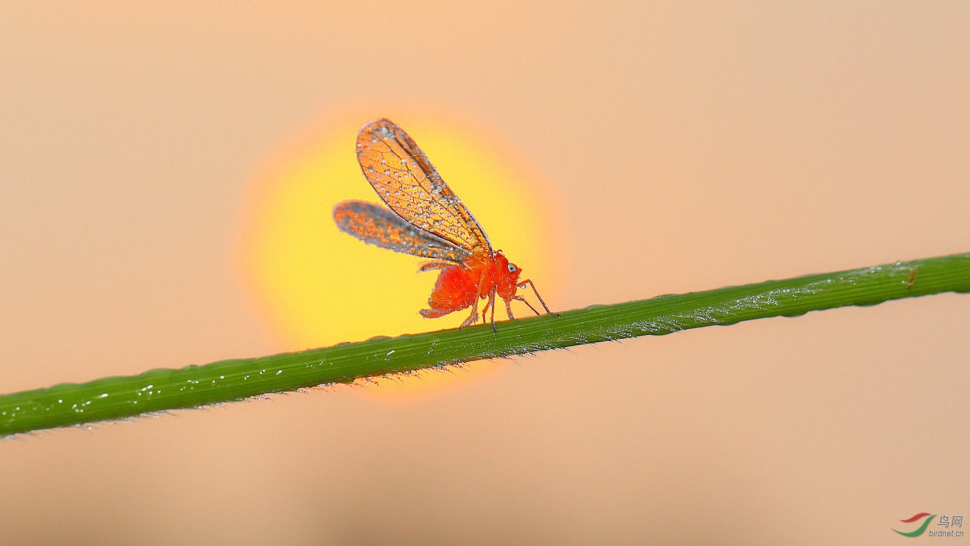 EC6A1634_����.jpg