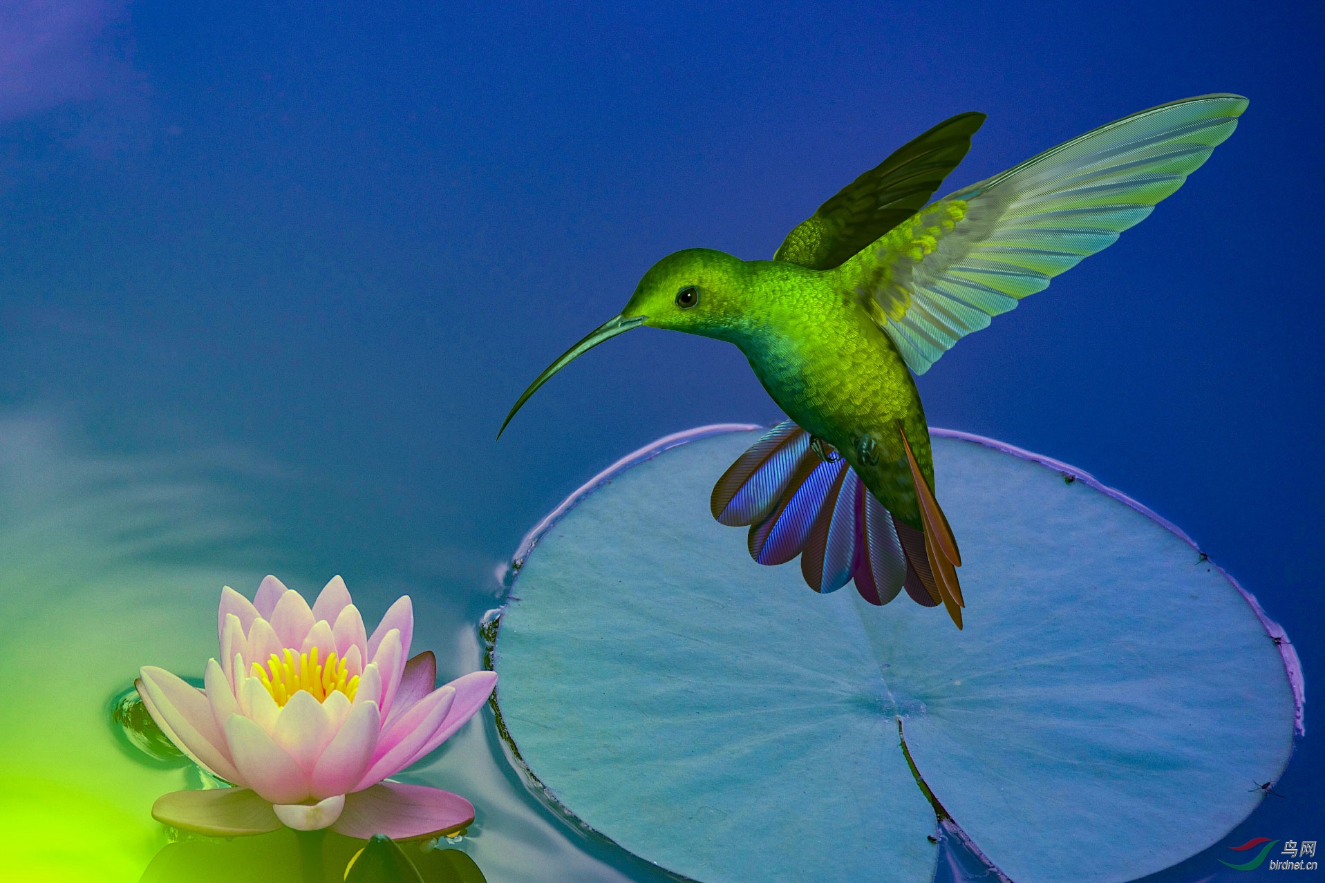 ����� 1920x500k.jpg